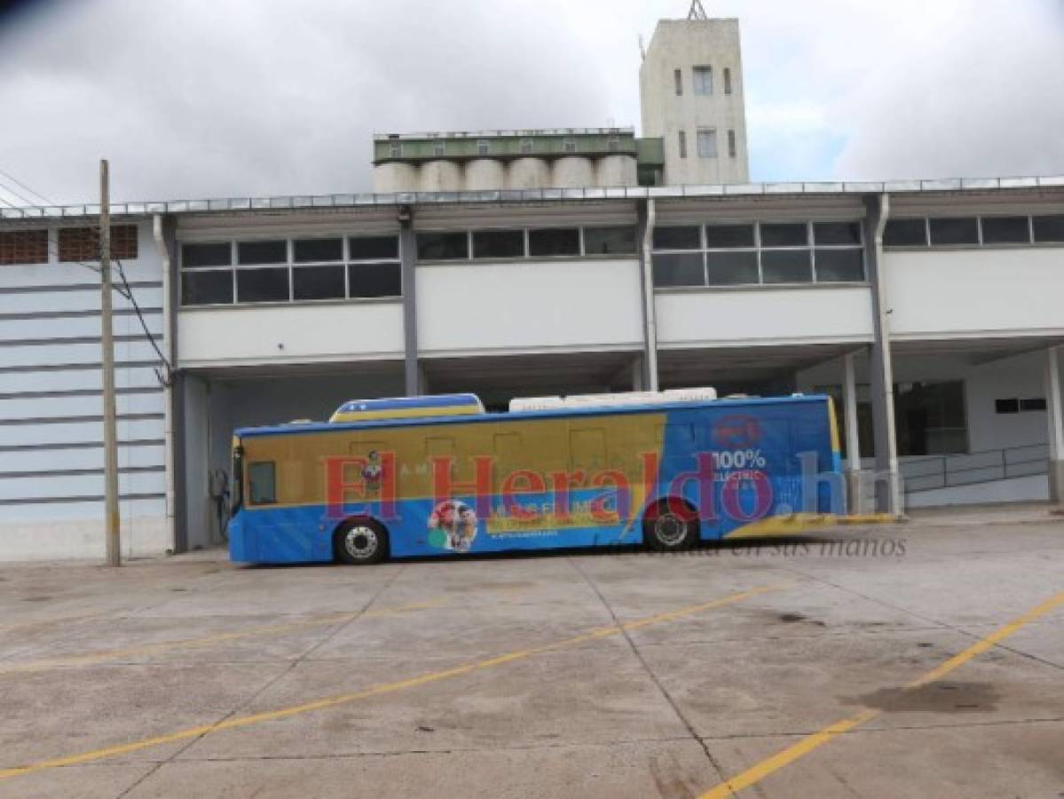 Para estudio de factibilidad se utilizará el bus eléctrico en la capital