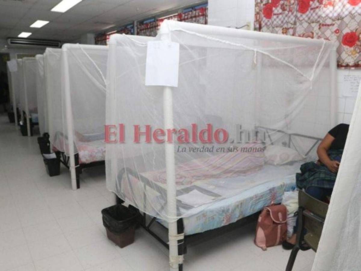 En 24 horas hospitalizan a cinco pacientes con dengue en el Hospital General del Sur
