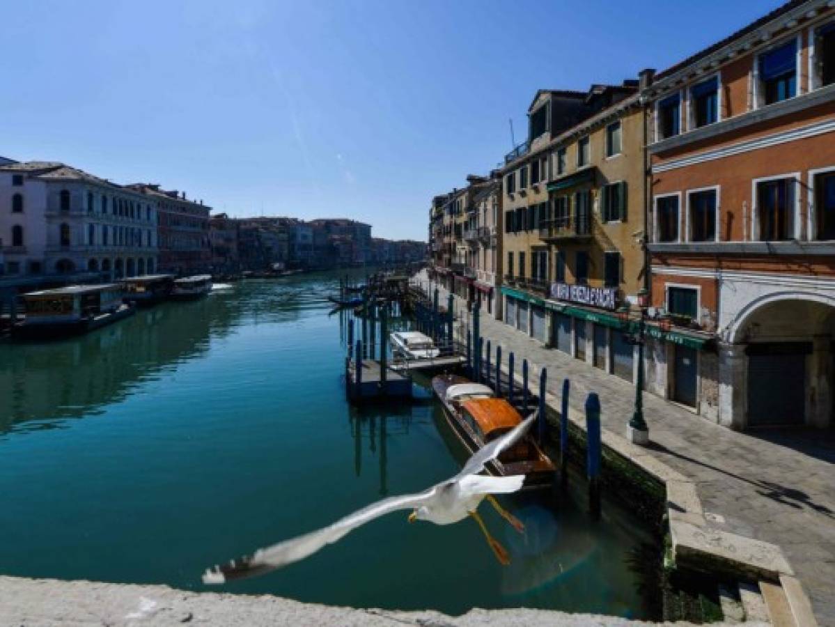 Agua en los canales de Venecia se vuelve cristalina por cuarentena