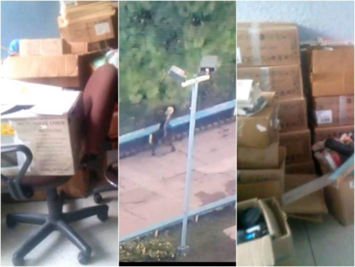 Supuestos integrantes del MEU saquean biblioteca de la UNAH