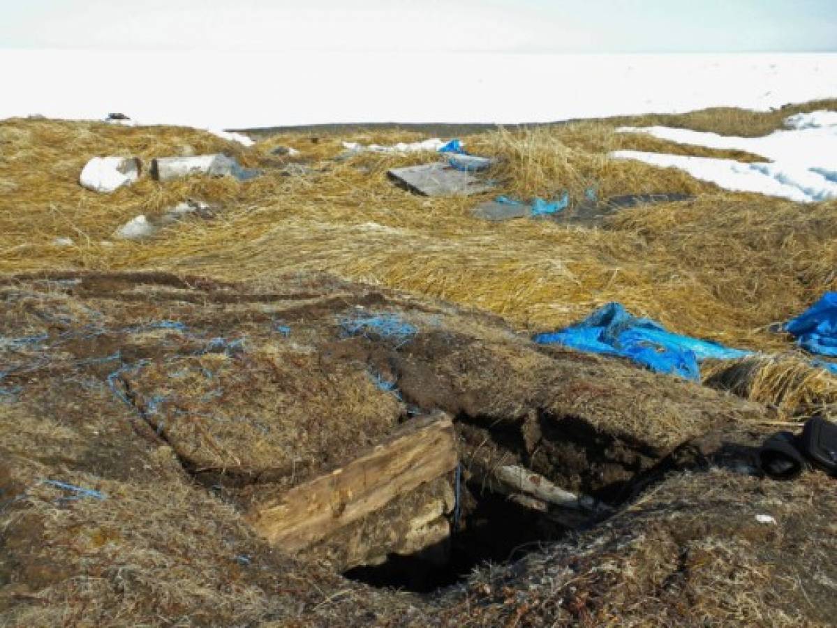 Cambio climático: Desaparecen bodegas heladas de Alaska  