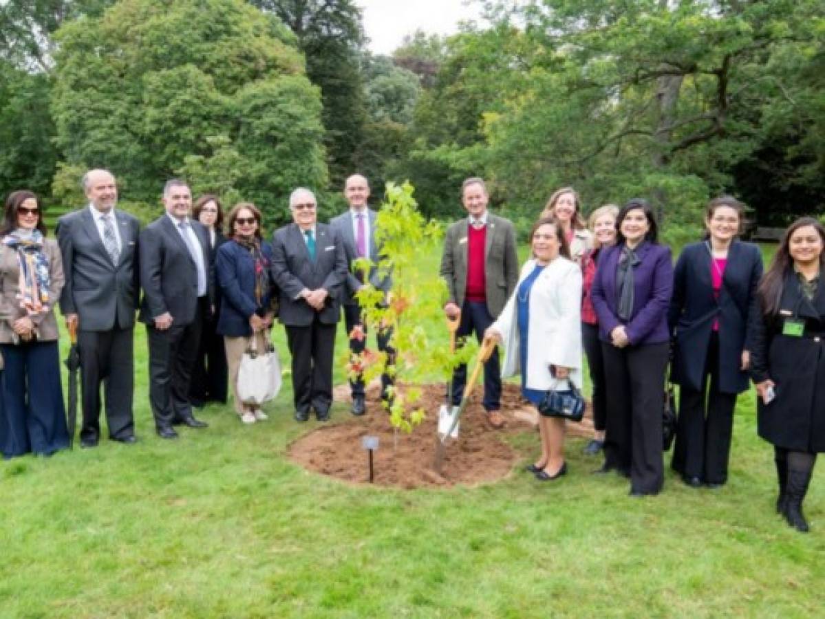 Embajadores centroamericanos plantan árbol de Liquidámbar en el jardín botánico de Londres