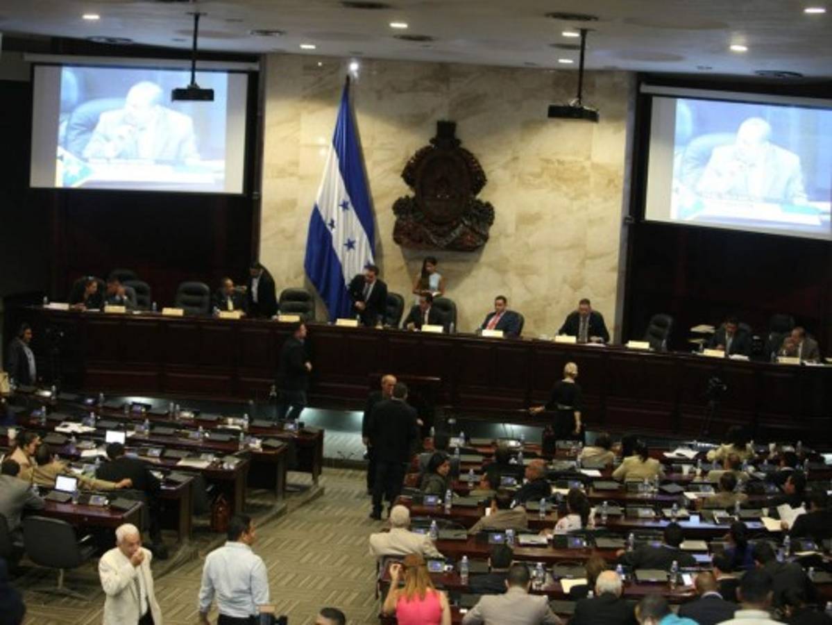 Reformas electorales serían aprobadas entre el 20 y 24 de enero de 2019