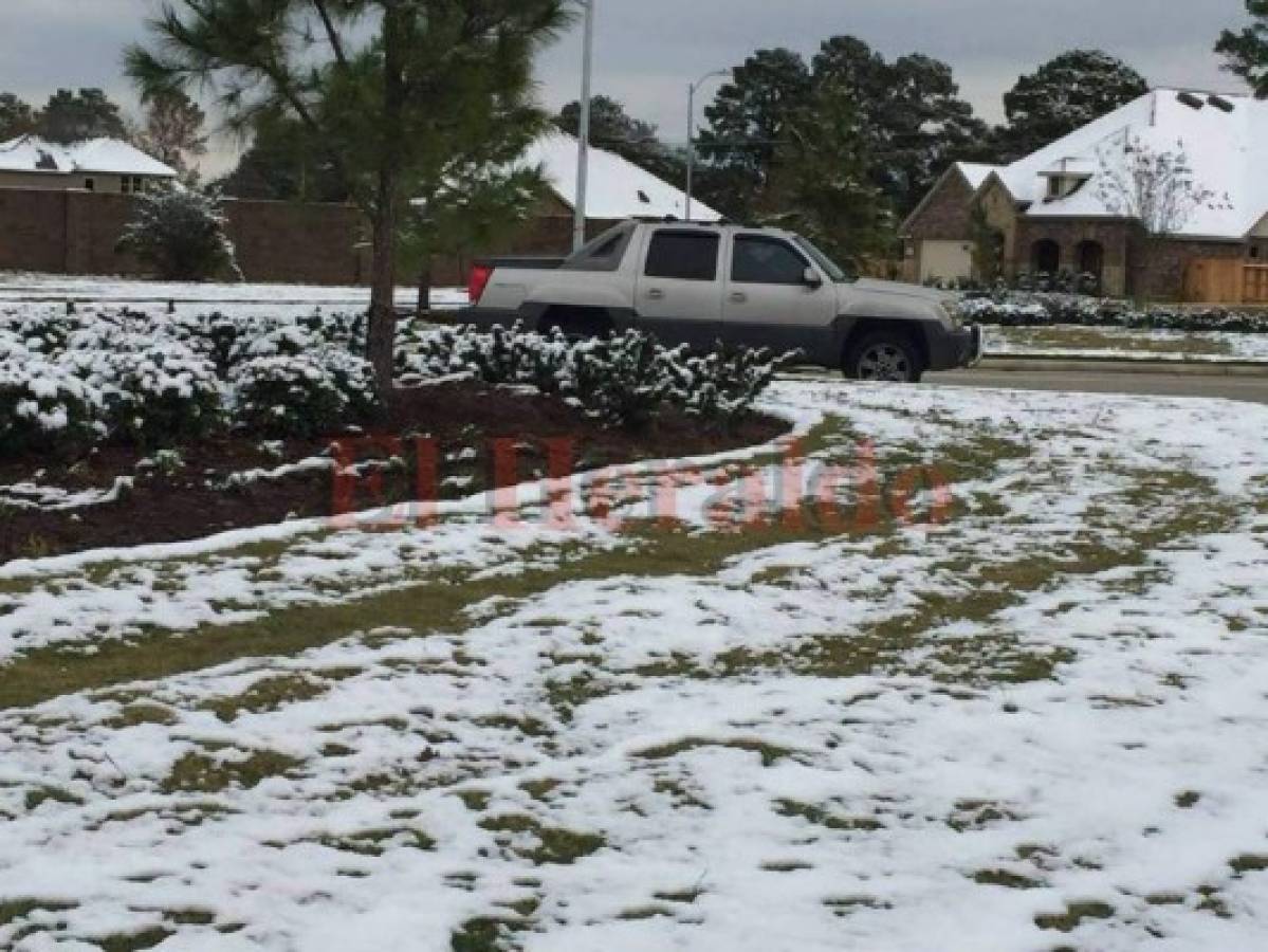 FOTOS: Hondureños en Houston, Texas, reportan sorpresiva nevada después de 9 años