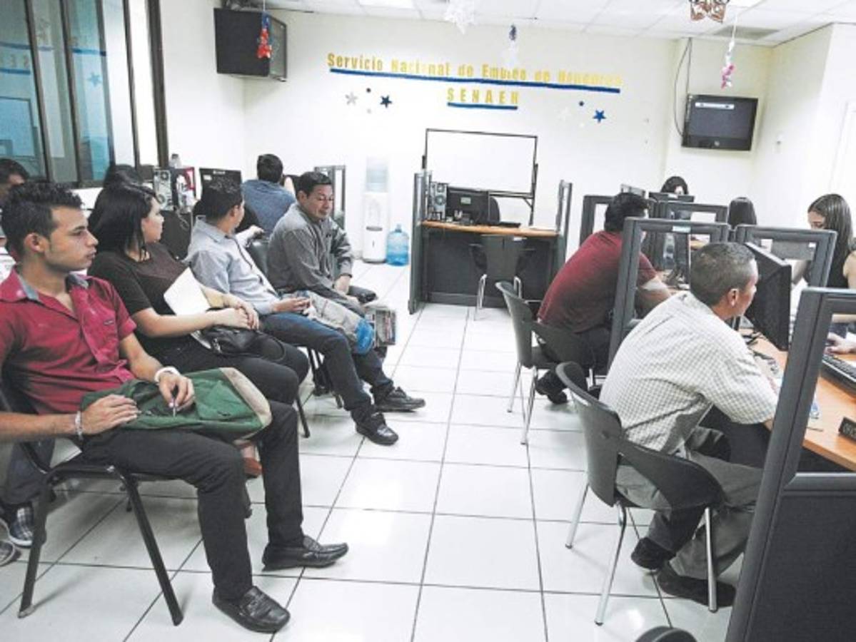 Programa de gobierno crea 60 mil empleos