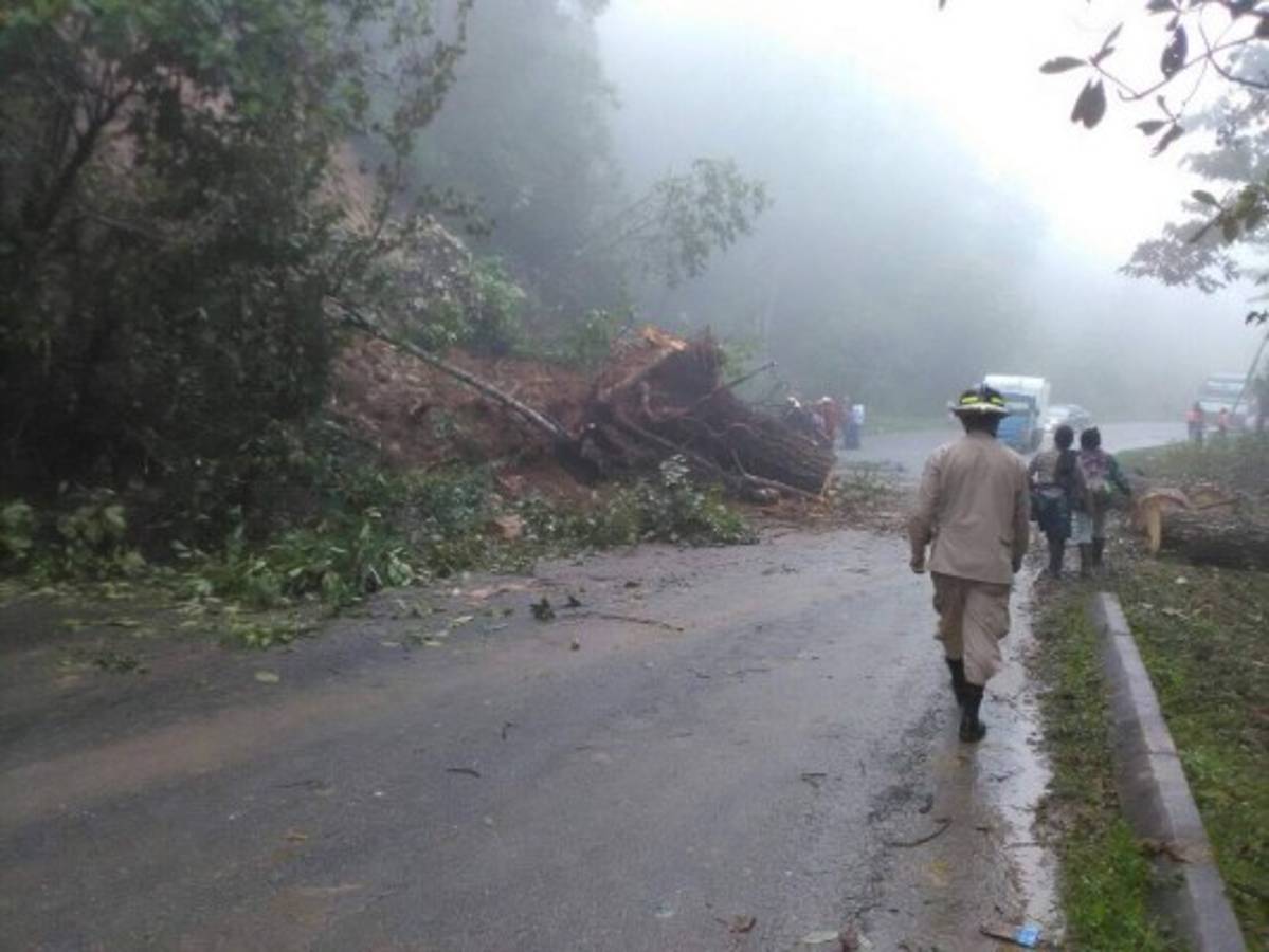 Interrumpido paso vehicular hacia Marcala por derrumbe en carretera