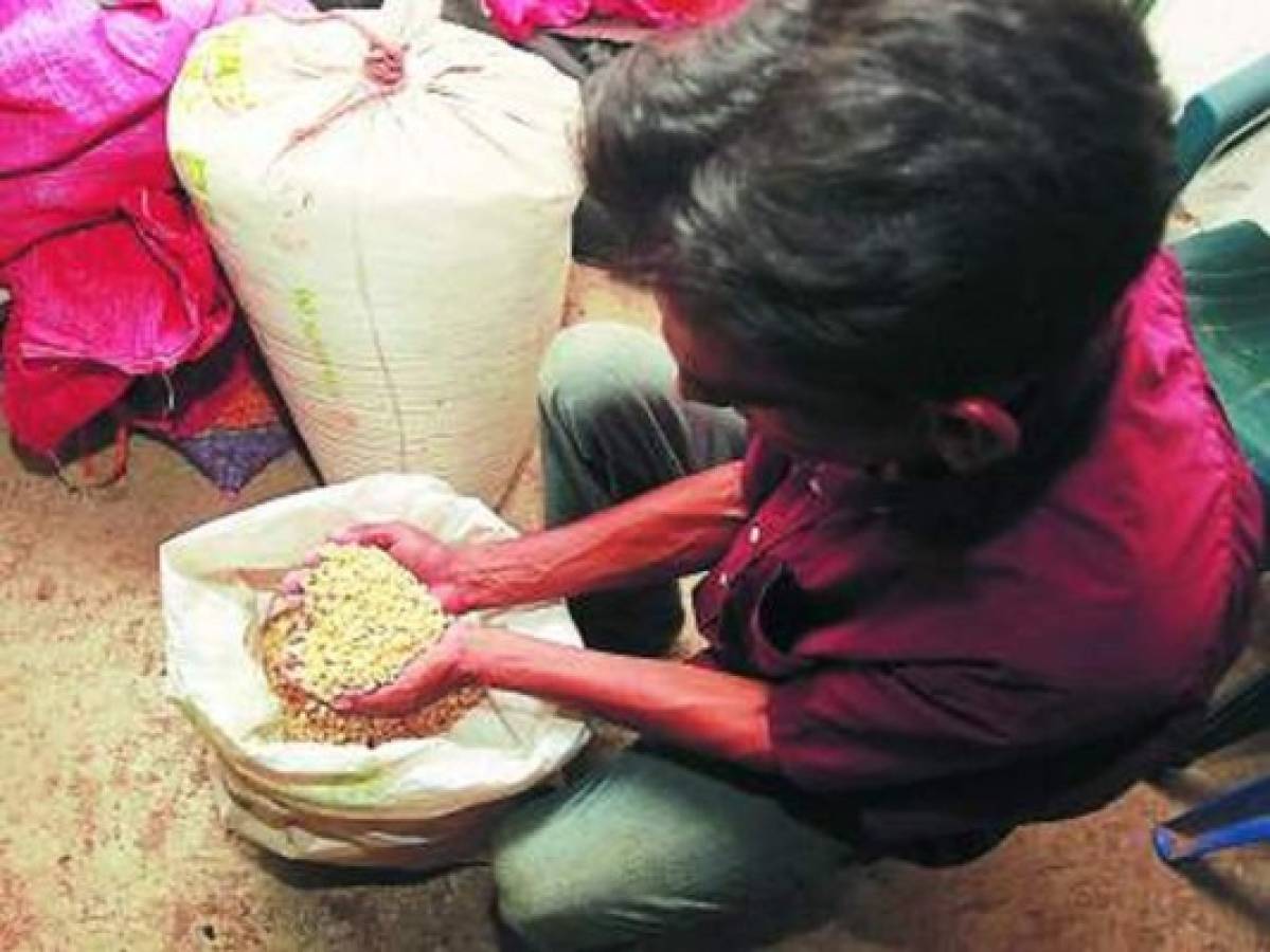 Semillas para postrera piden los campesinos