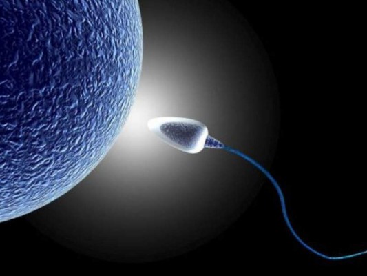 Las nueces y almendras potencian la calidad del esperma en los hombres