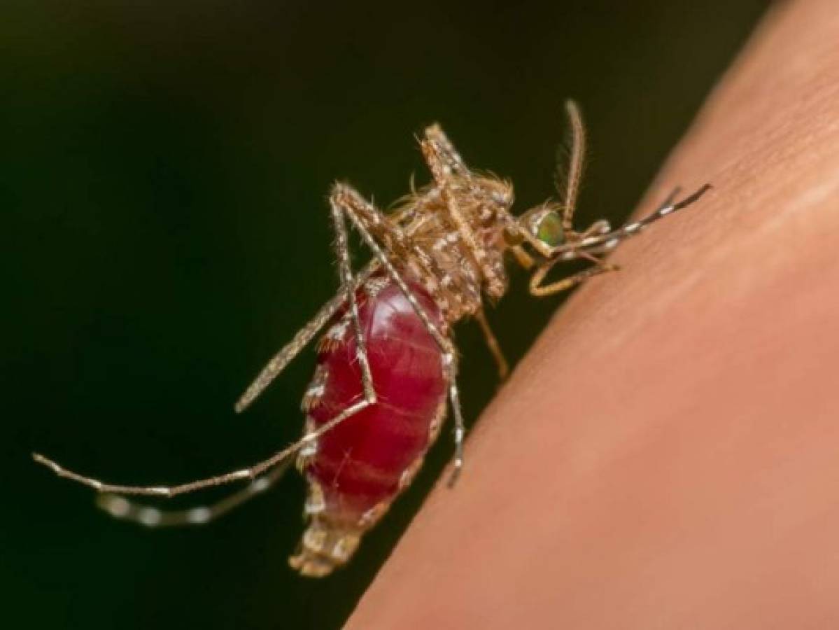 Costa Rica con fuerte aumento de casos de dengue