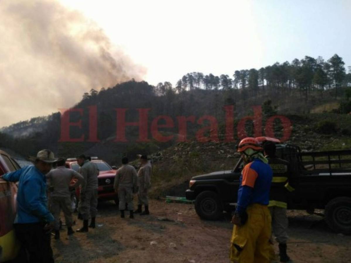 Mueren dos bomberos y tres más resultan heridos mientras combatían incendio forestal en La Montañita