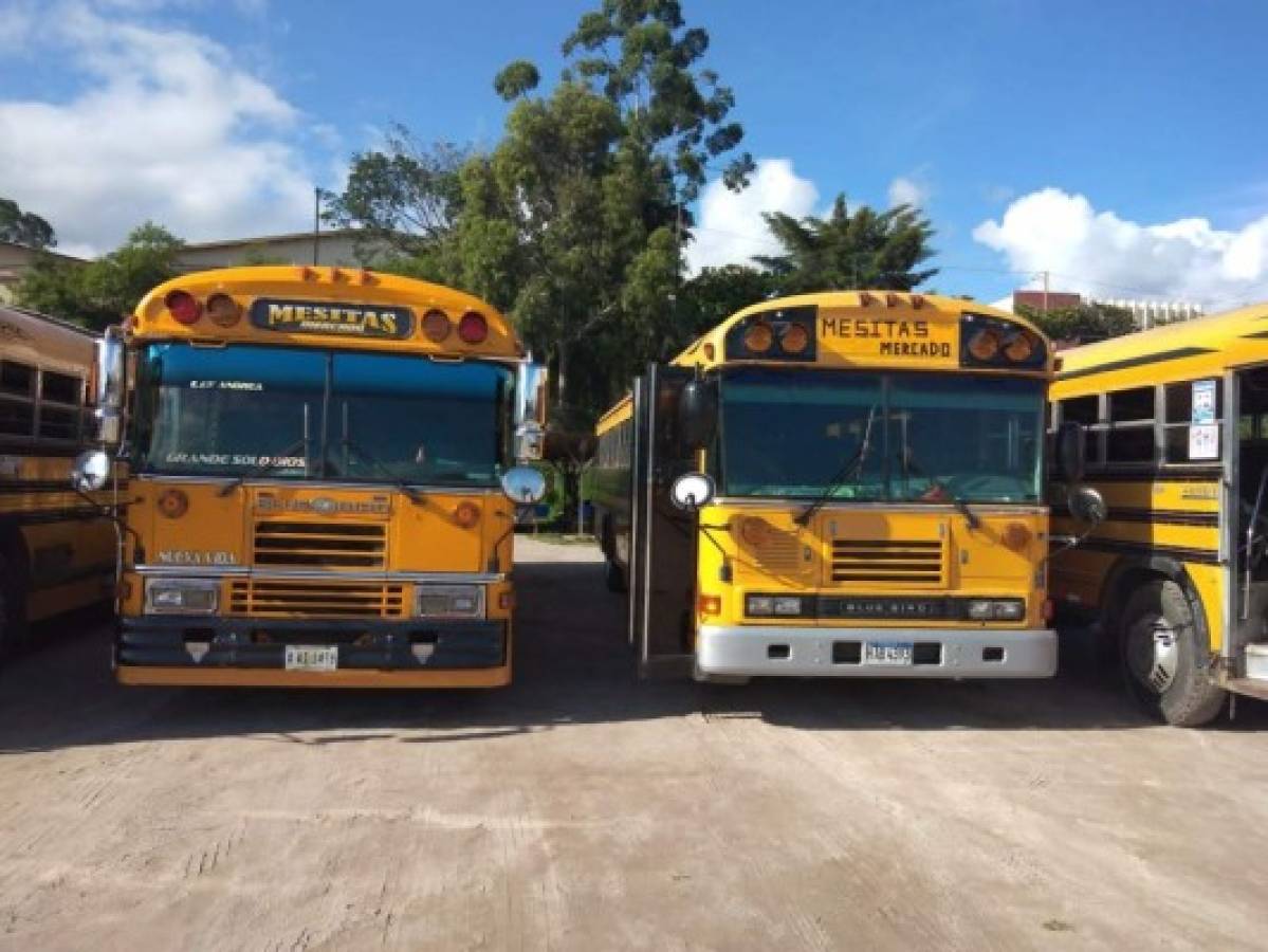 El lunes operarán buses del sur de Francisco Morazán