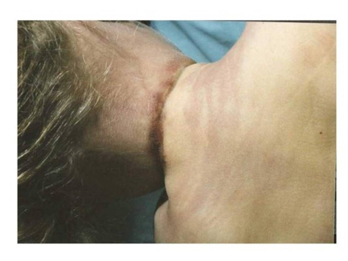 ¿Quién es ella y por qué la vinculan con Katy Perry?  