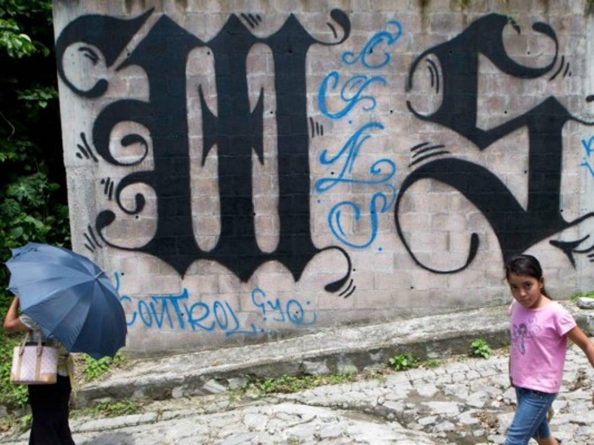 Estados Unidos: El azote de las pandillas llega a los suburbios de Nueva York