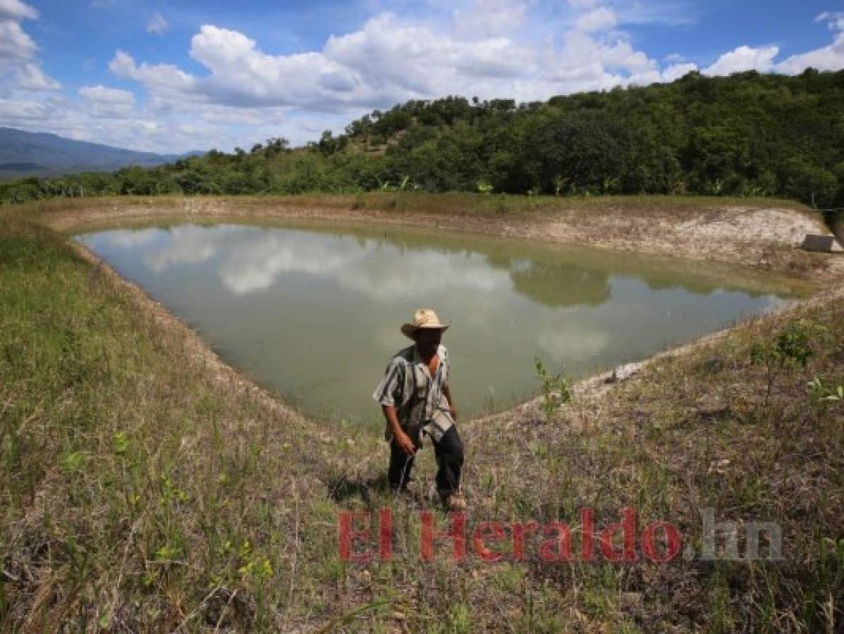 Honduras: Contratos de cosechadoras de agua fueron una arca abierta
