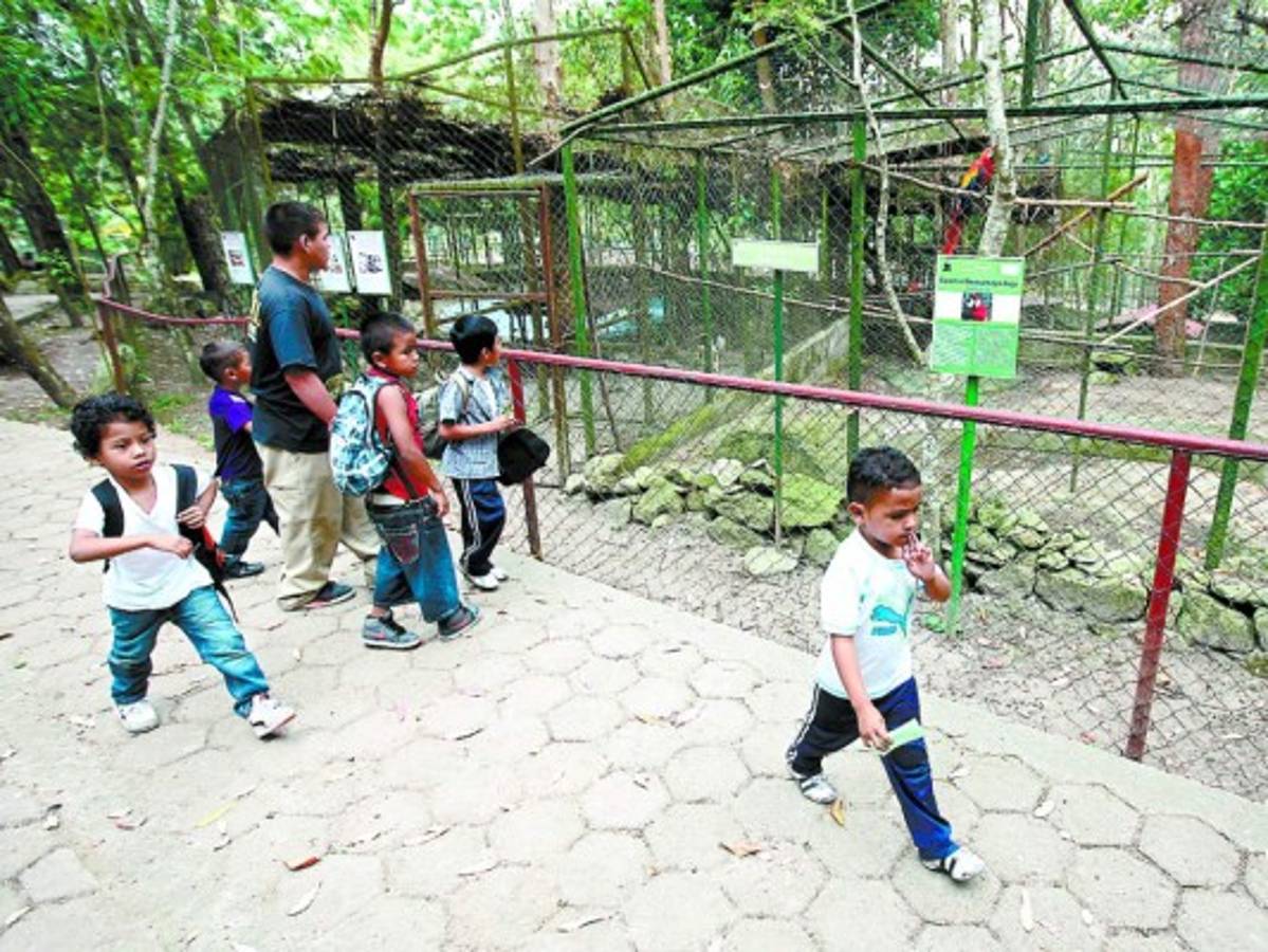 Invierten 4.4 millones en nuevas obras del zoológico Rosy Walther