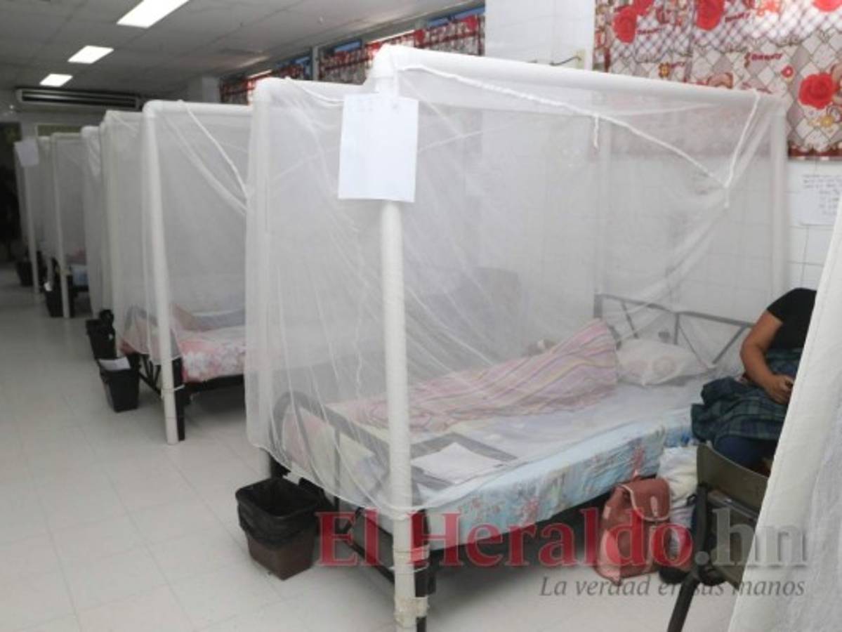 Tres menores mueren en un día a causa de dengue en Honduras