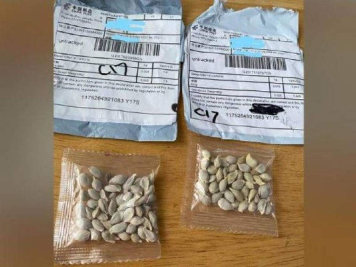 Los misteriosos paquetes con semillas chinas que llegan a EEUU y otros países