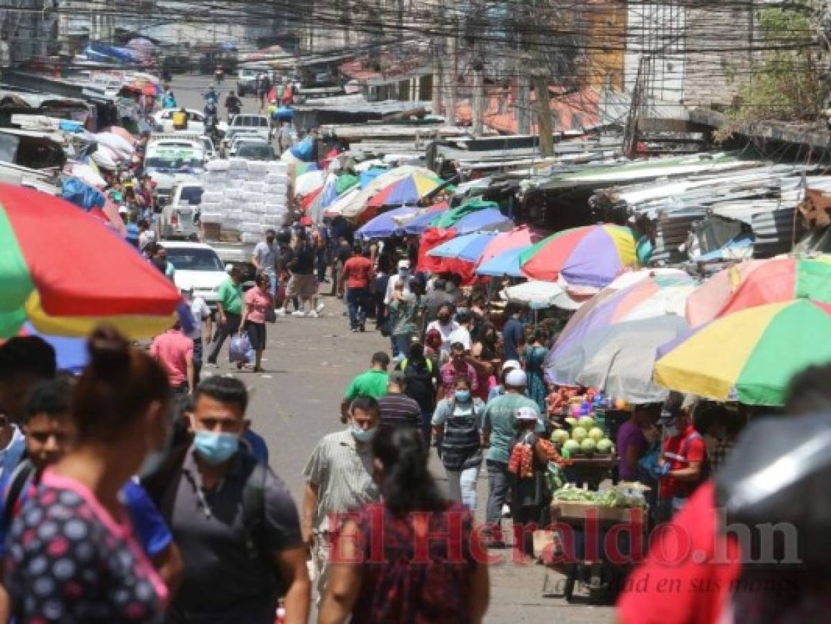 Banco Mundial prevé un crecimiento de 4.5% para Honduras