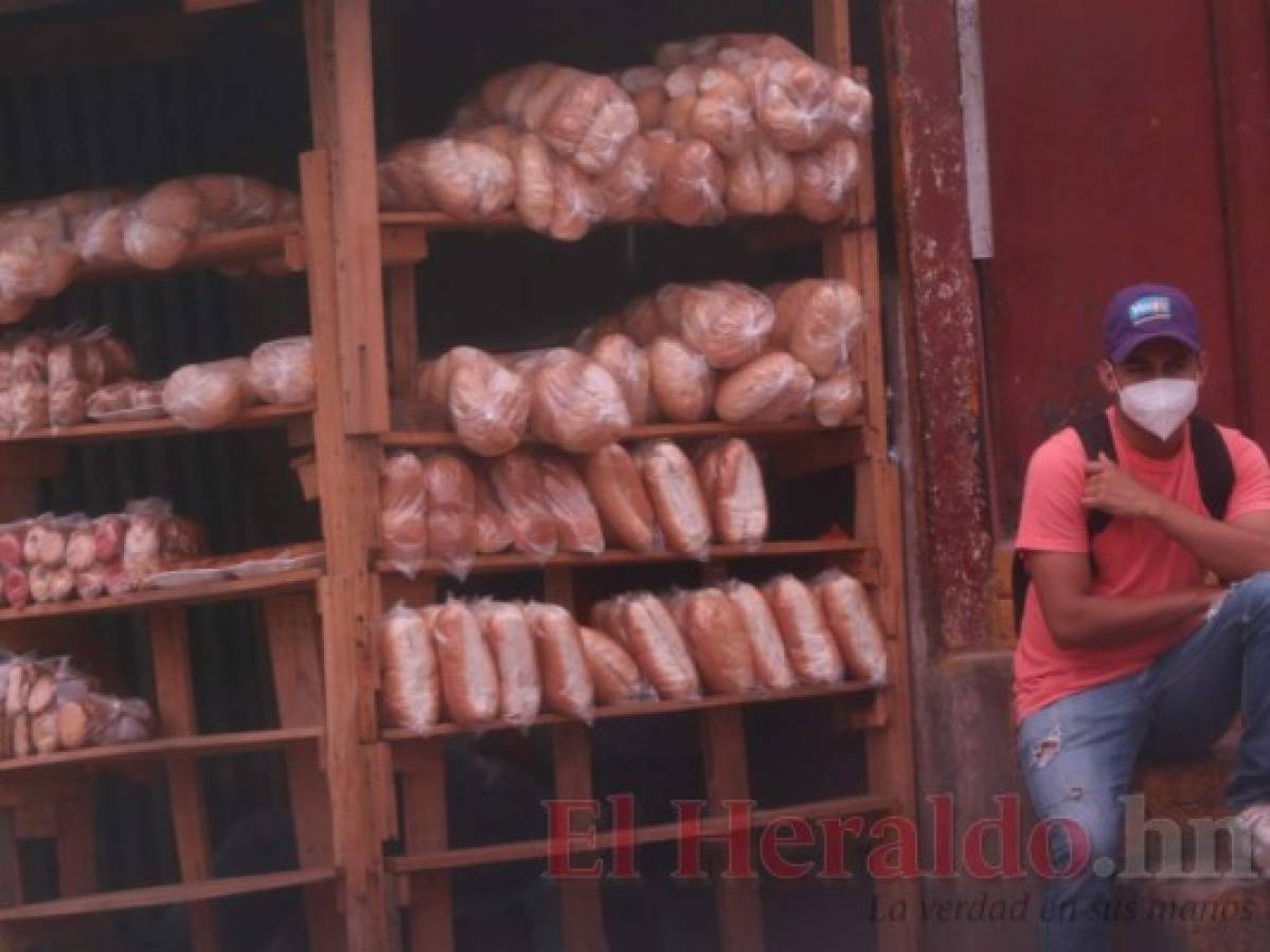 Sector obrero pide apertura económica exigiendo medidas de bioseguridad