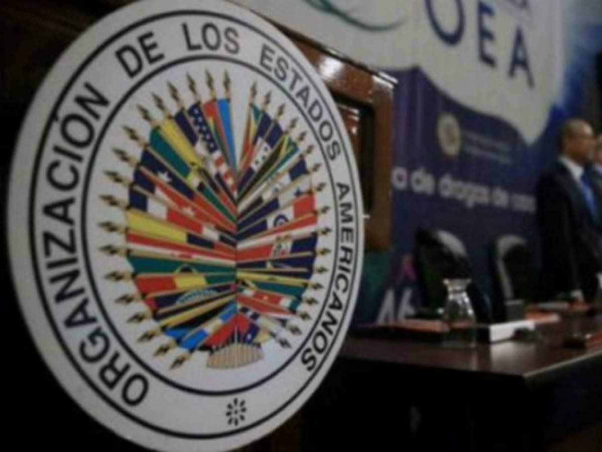 OEA presentará el próximo 11 de julio informe final sobre nuevos organismos electorales