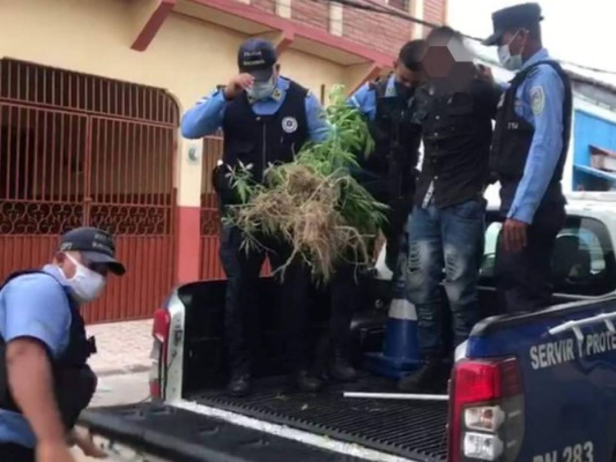 Capturan supuesto miembro de banda 'Los Garrobos' por tráfico de drogas