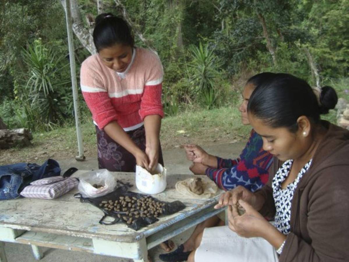 Promueven el reciclaje como terapia ocupacional