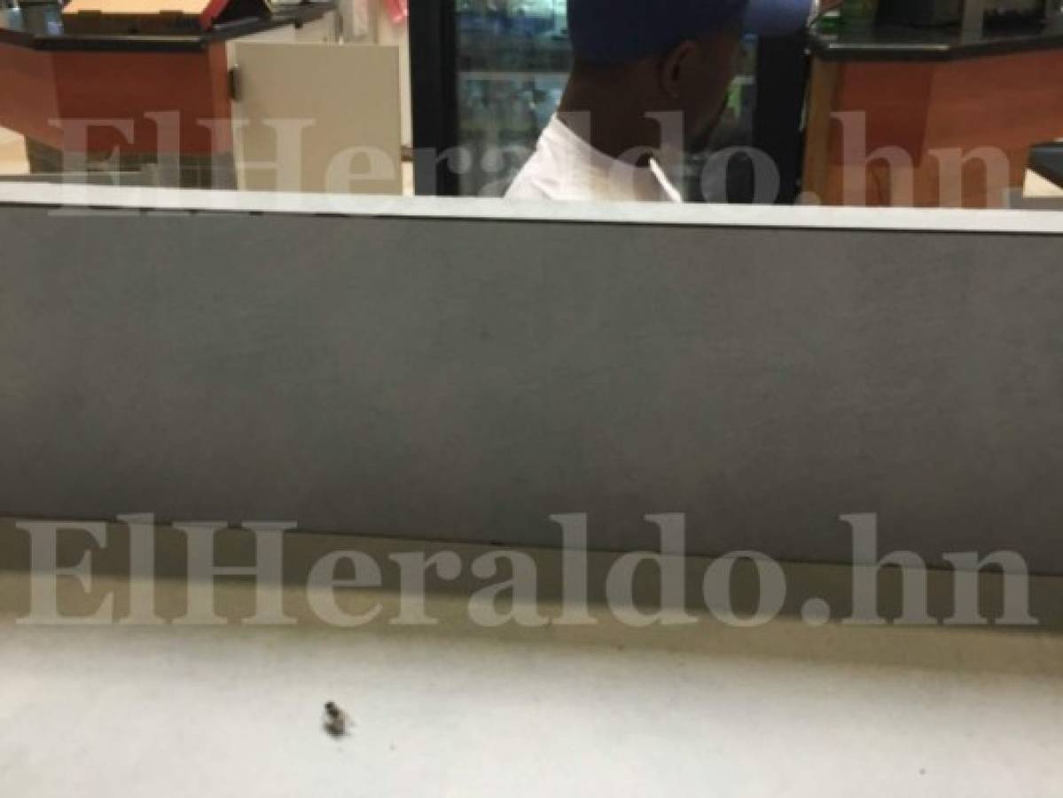 Honduras: Invasión de moscas en aeropuerto Ramón Villeda Morales de San Pedro Sula
