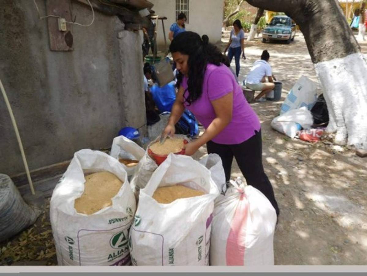 Se clasifican los sacos de aserrín de acuerdo a su espesor a fin de lograr una textura más homogénea. FOTO: Gissela Rodríguez