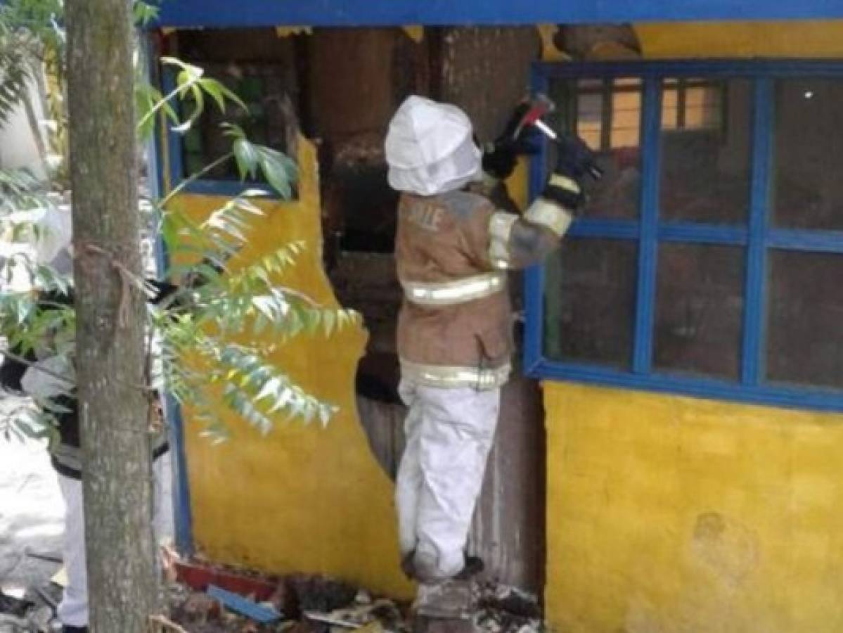 Retiran enjambre de abejas africanizadas en predios de la Universidad Nacional Autónoma de Honduras-Valle de Sula