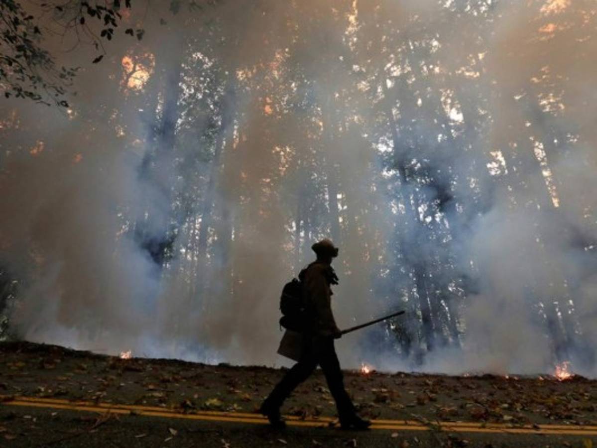 Sobrevivientes de incendios regresan a sus casas en California&nbsp;&nbsp;