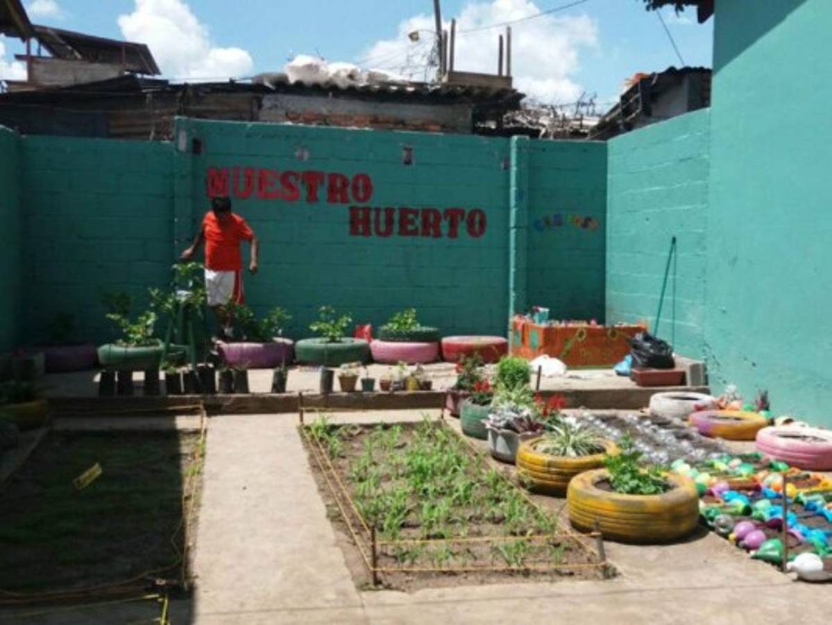 Cambian entorno verde del CEB San Miguel de Heredia