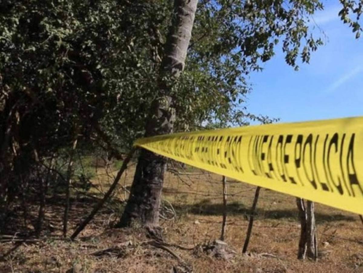Macabro hallazgo de 215 cadáveres en fosas clandestinas en México  