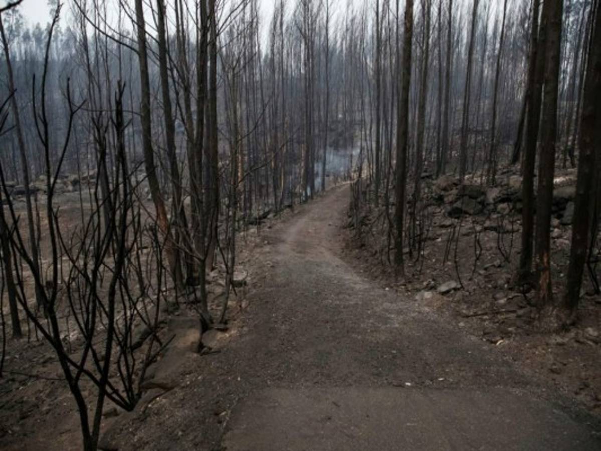45 muertos por incendios provocan luto en Portugal y España &nbsp;