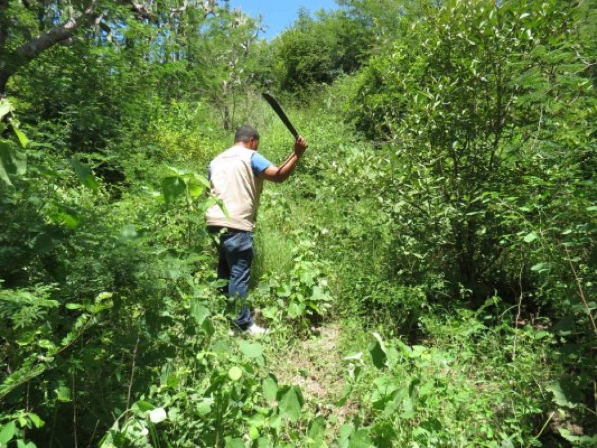 En el abandono están los sitios arqueológicos de Comayagua y La Paz