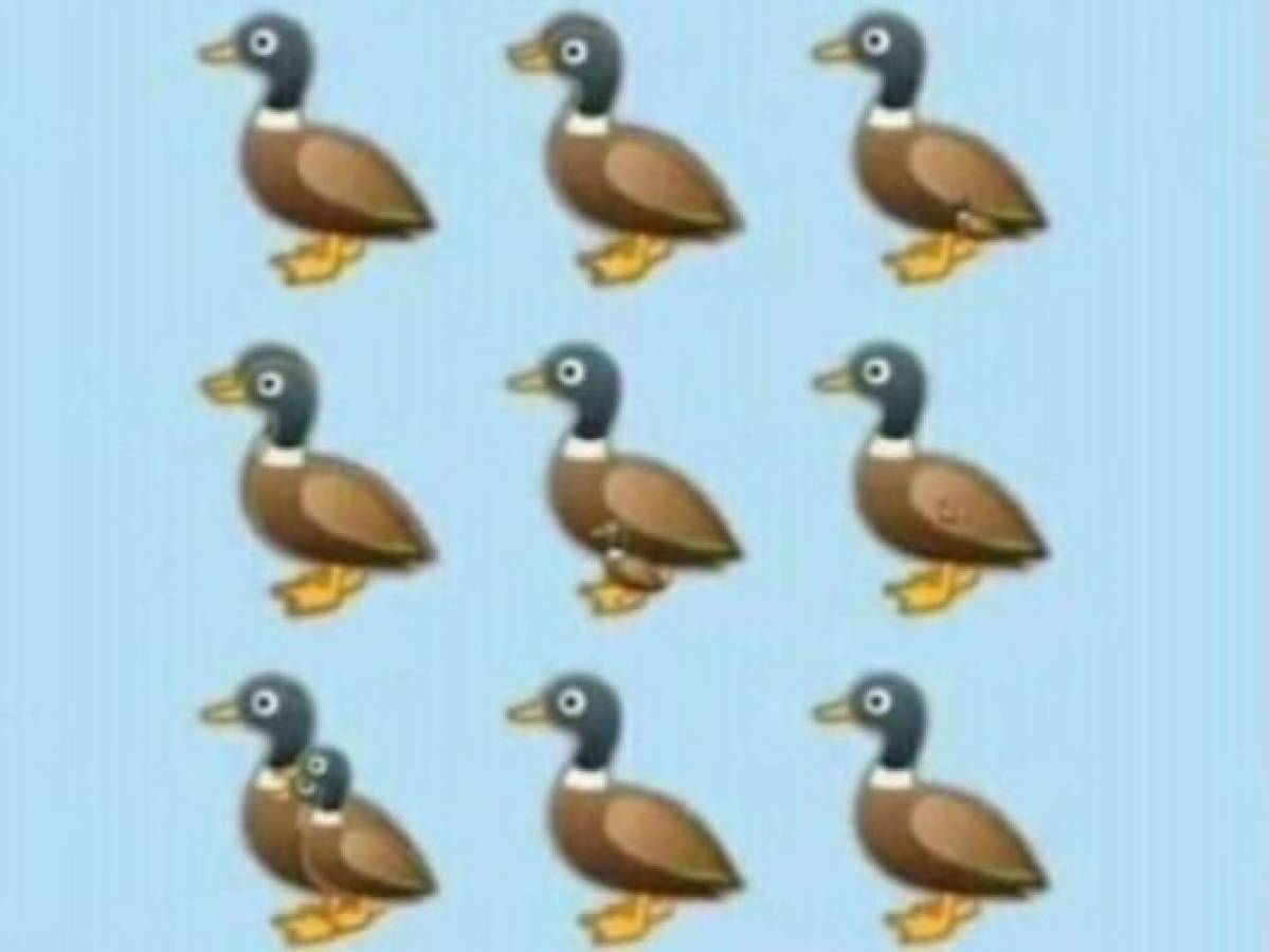 ¿Cuántos patos ves en la imagen? Esta es la fotografía viralizada en redes sociales.