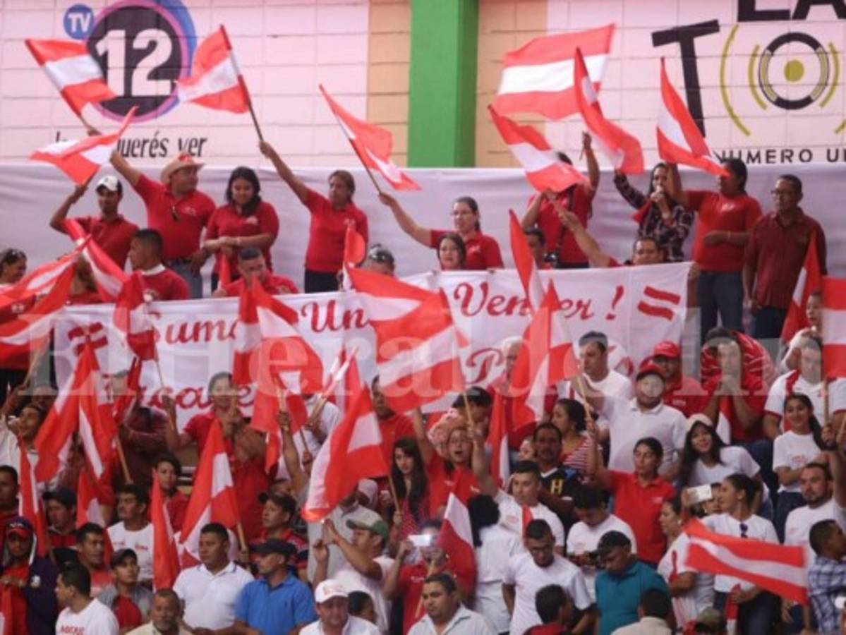 Presidente del Partido Liberal Luis Zelaya acepta unirse a la Alianza Opositora pero si él es nombrado candidato