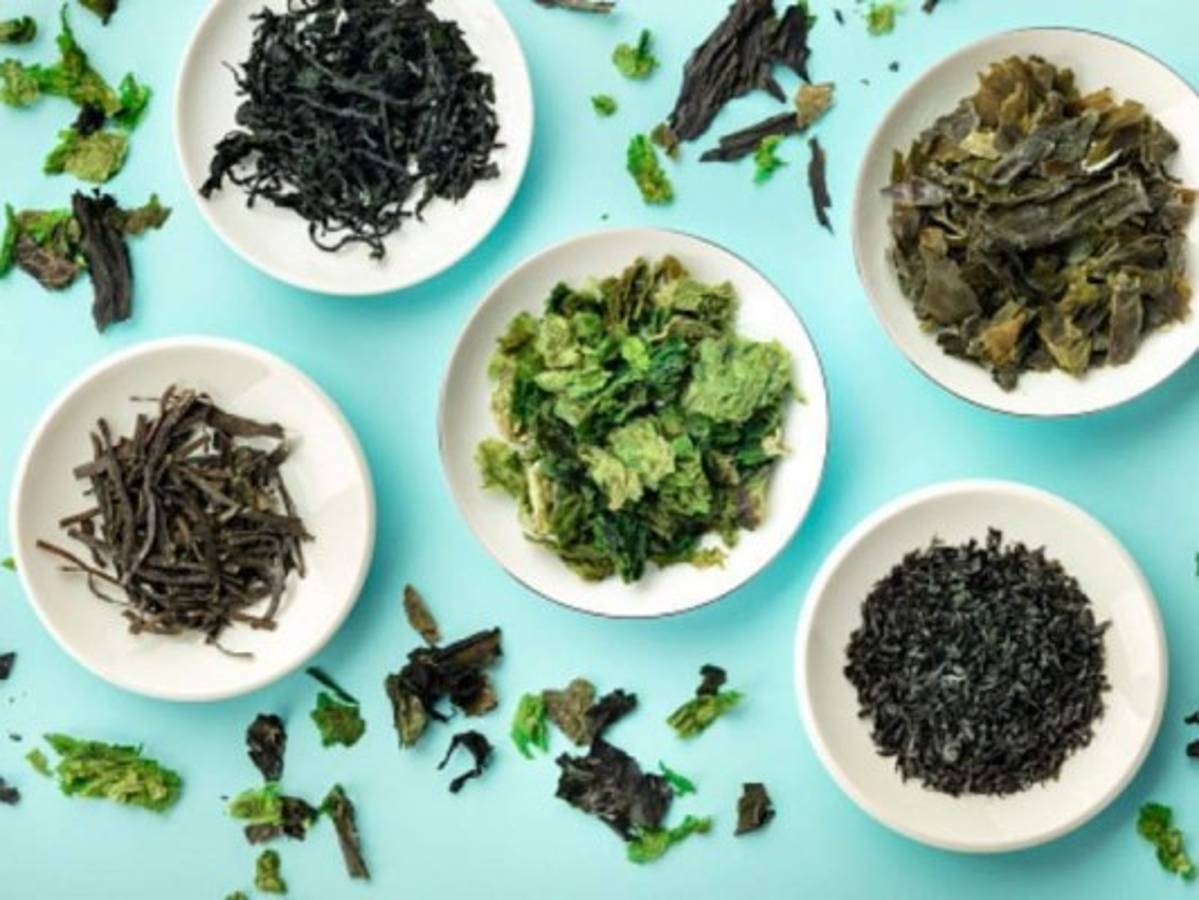 Las algas marinas contienen zinc y magnesio, elementos ideales para combatir la edad. Foto: Pixabay