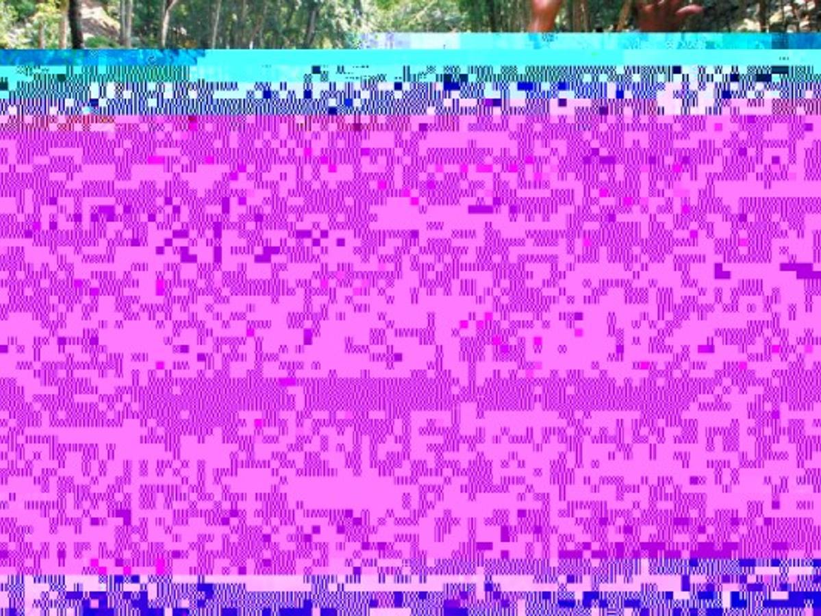 En los diferentes balnearios del río Ulúa, los veraneantes podrán practicar la pesca. En estas vacaciones de verano, cientos de personas no pueden desplazarse a las playas o a grandes balnearios, por lo que veranean en las aguas frescas de uno de los ríos más grandes del país.