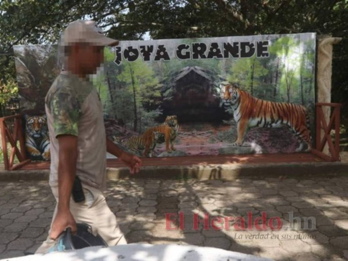 Arca de Noé ya no puede pagar alquiler por Joya Grande a la OABI