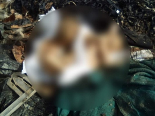 Hallan tres fetos humanos entre la basura en la ciudad de La Ceiba