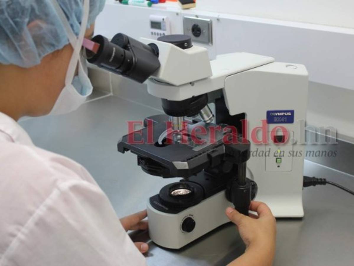 Cinco investigaciones relacionadas al coronavirus desarrolla la UNAH