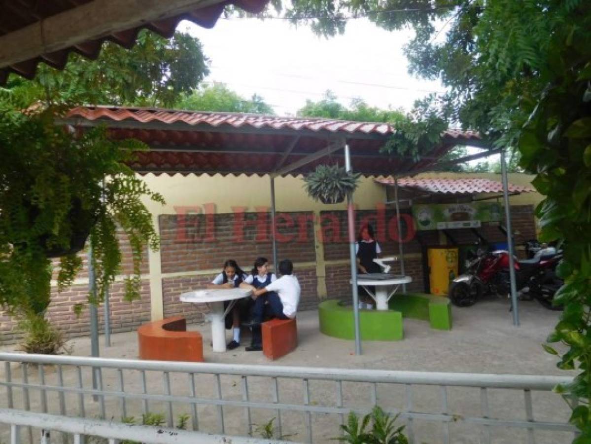 La huella ecológica sigue vigente en los centros educativos del sur