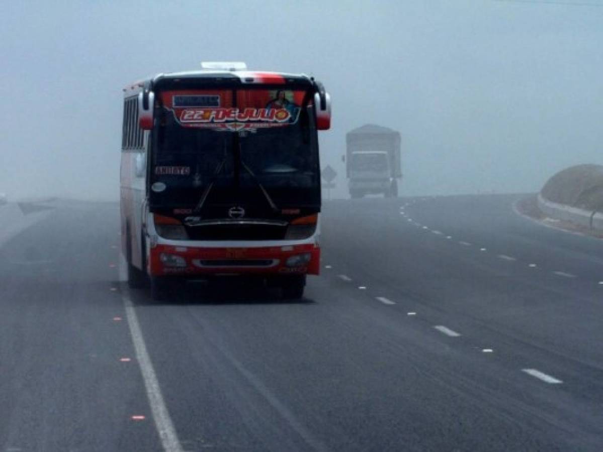 Al menos 23 muertos y 20 heridos en accidente de bus en Ecuador