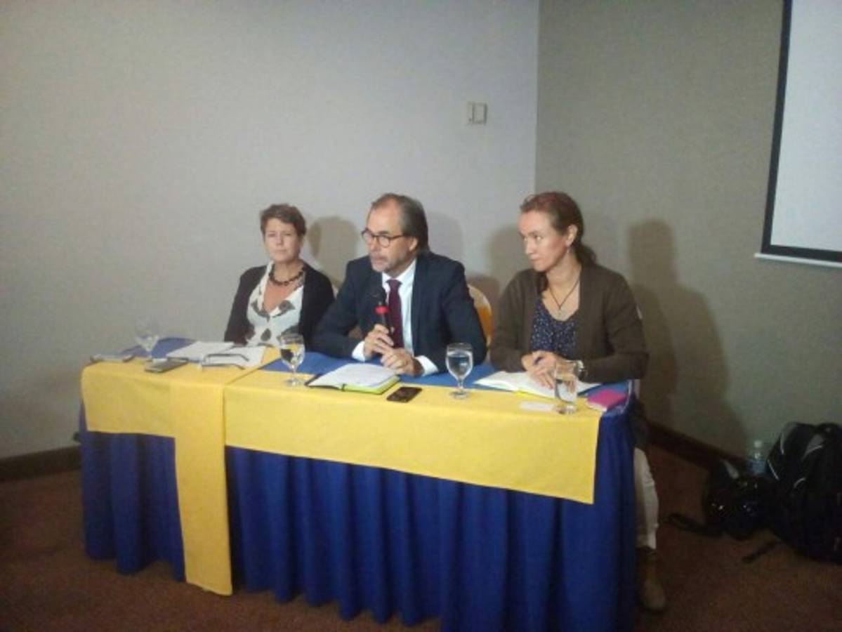 Embajada de Suecia pide a Honduras proteger a defensores de Derechos Humanos