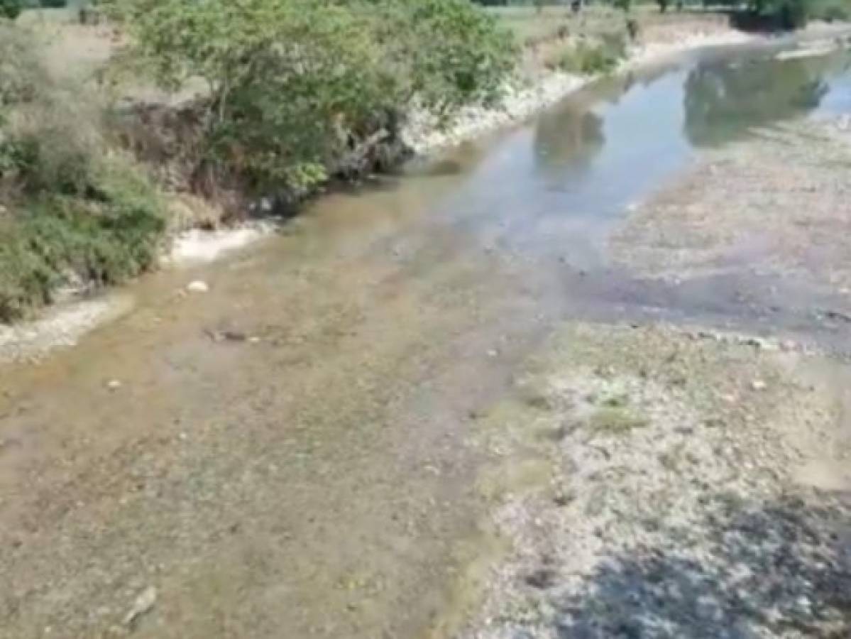Controlado el derrame de ácido sulfónico en río en Copán, según autoridades