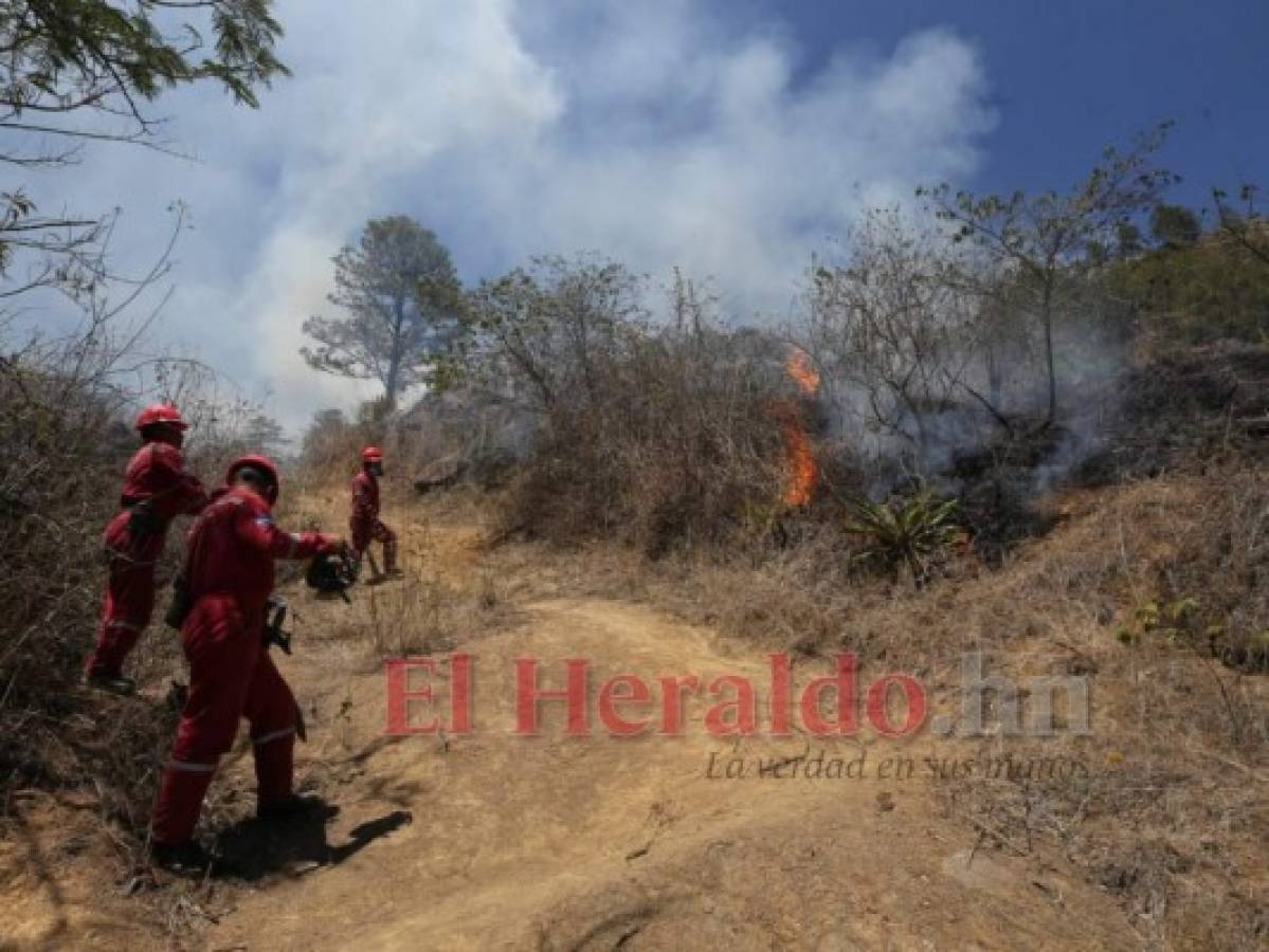 Sofocan voraz incendio en la Aldea El Lolo de la capital