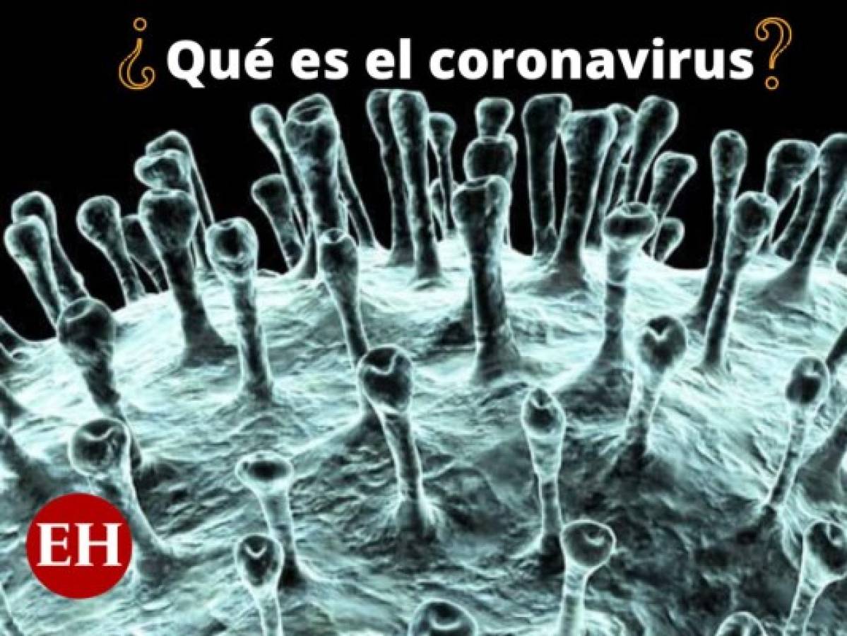 ¿Qué es coronavirus? La nueva epidemia que amenaza al mundo