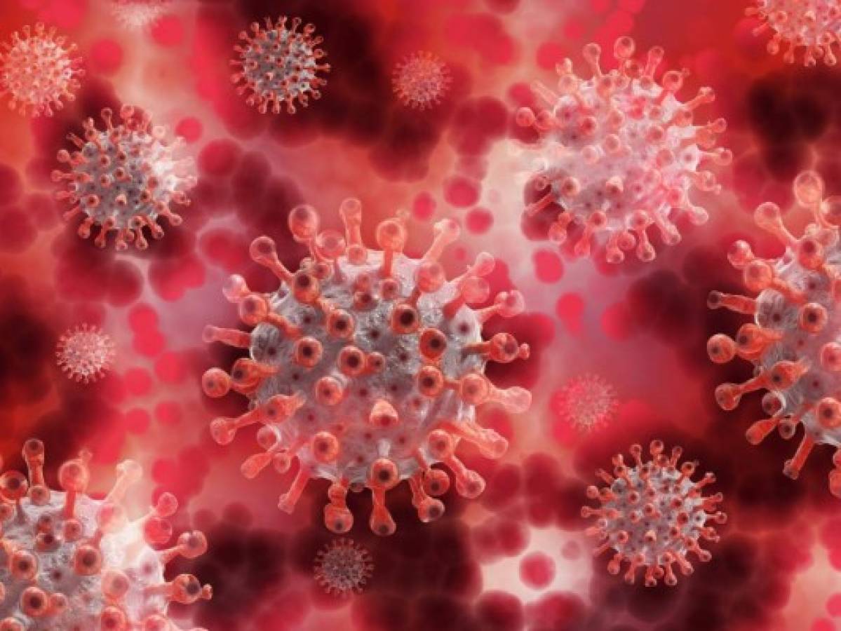 El coronavirus puede sobrevivir hasta 28 días en algunas superficies (estudio)