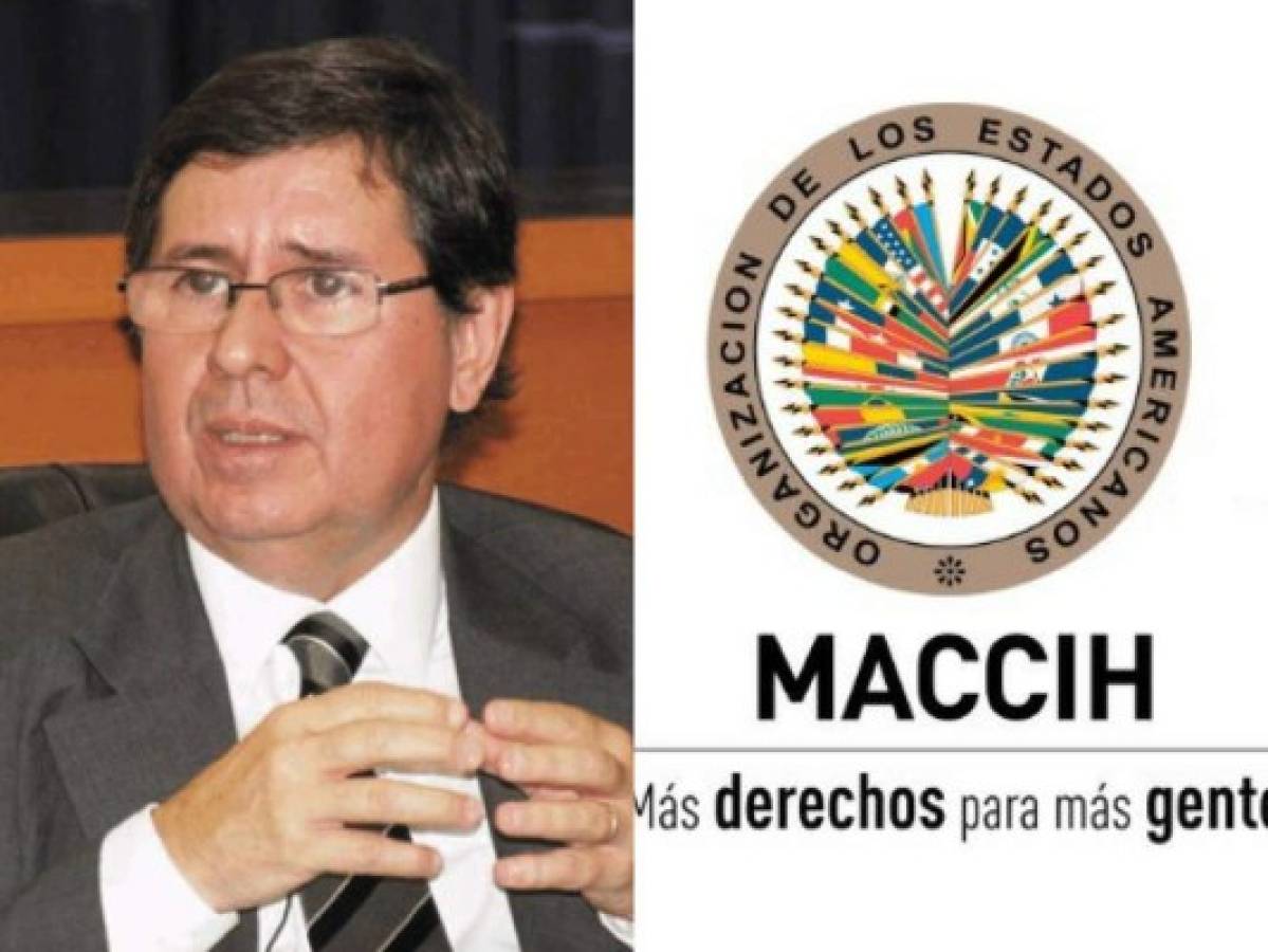Caso Pandora: Maccih respalda a la Ufecic tras presentar recurso contra resolución de la jueza