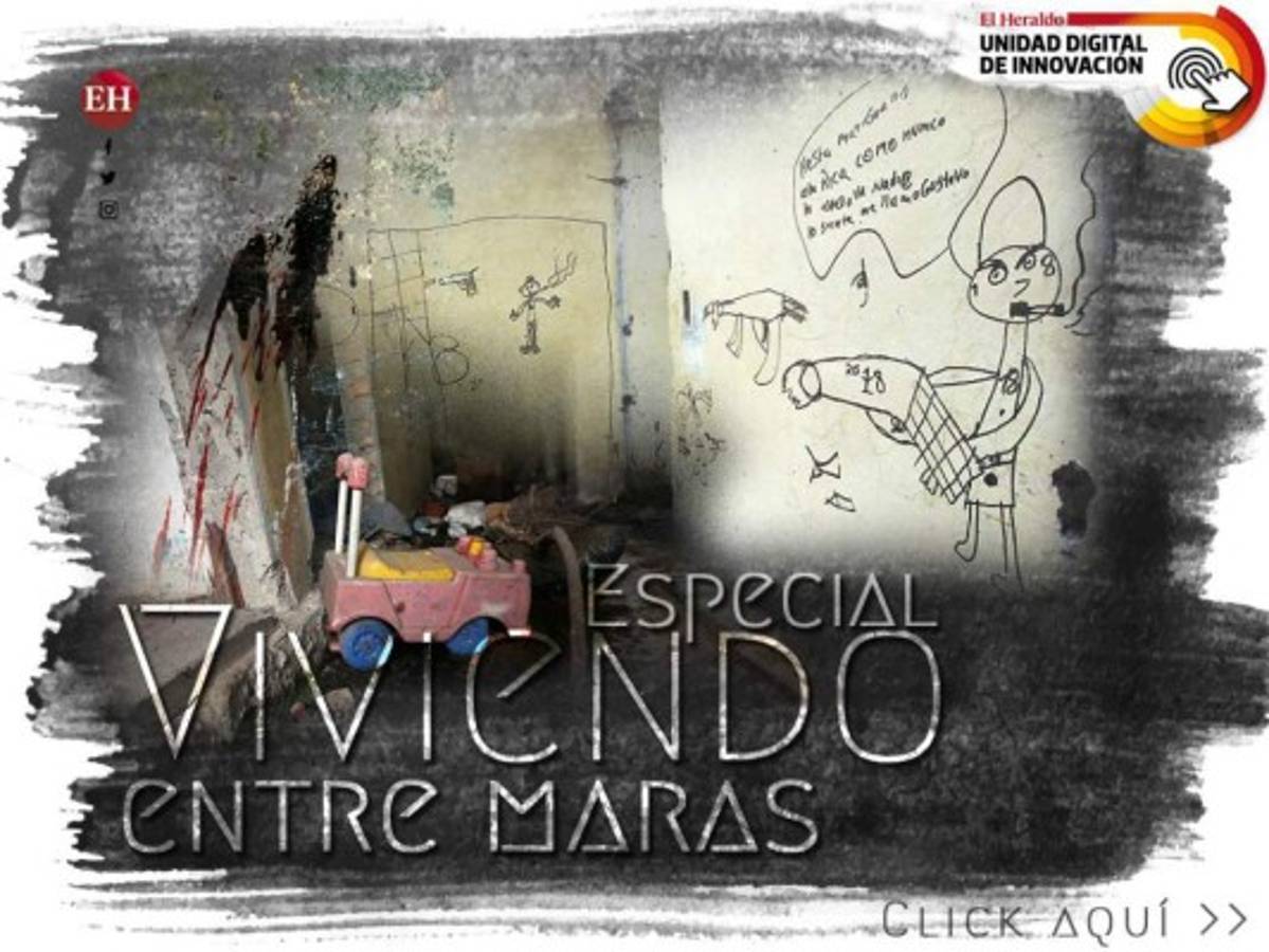 Viviendo entre maras